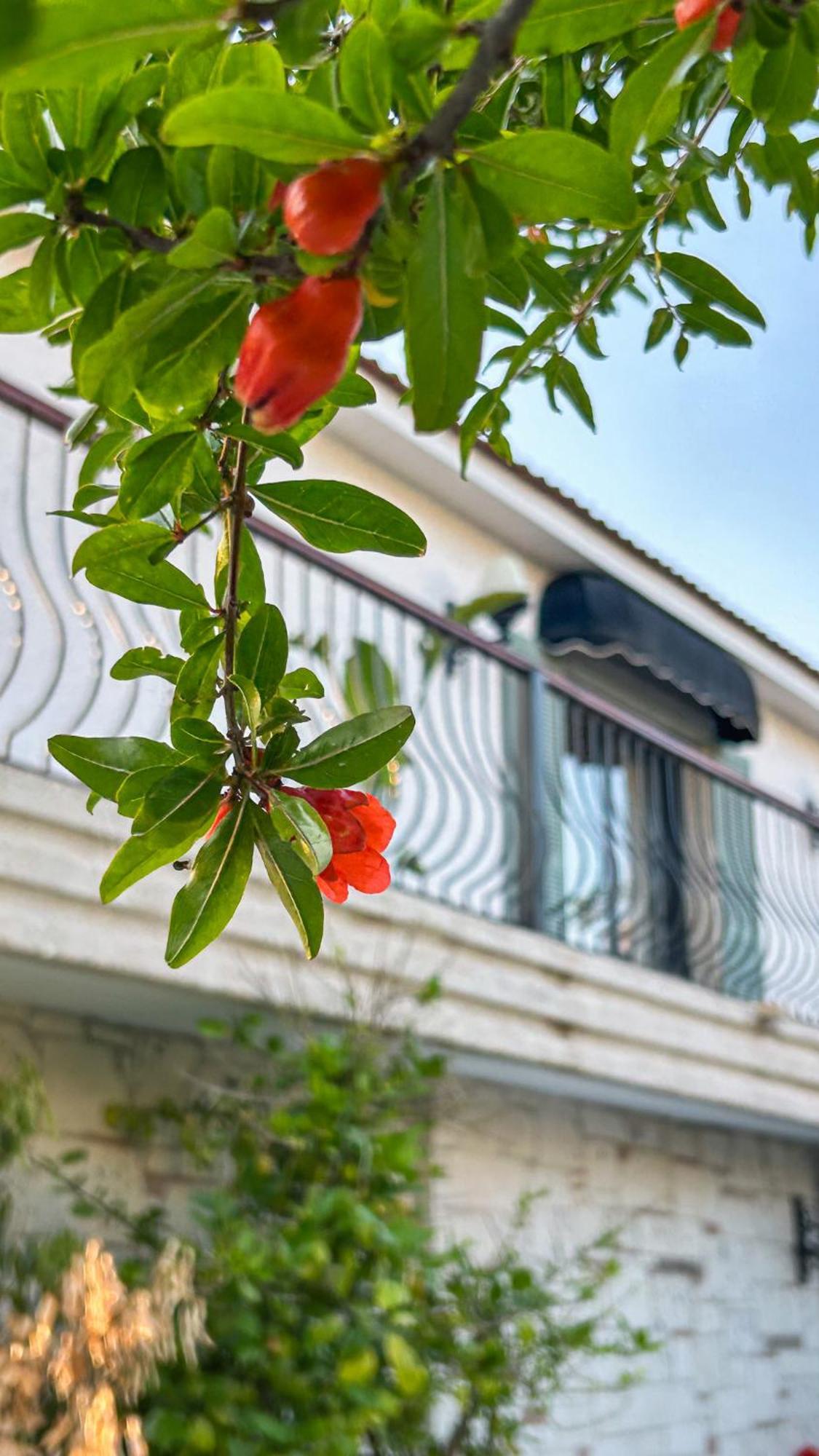 N Hotels Cesme Dalyankoy  Exteriör bild